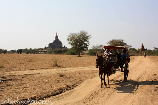 Horse Cart In Bagan