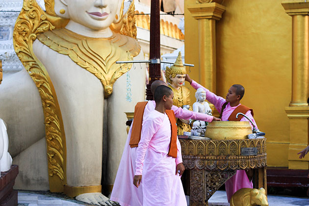 Shwedagon 17